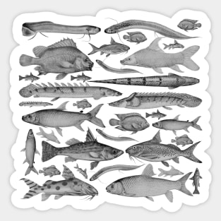 Black and white fish pattern Sticker